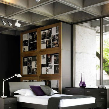 Mobican Contempora Collection