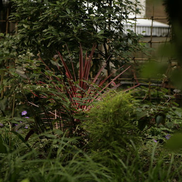 Jardins d'ombre