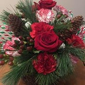 Sue Hummel's photo
