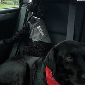 Melynda Flaggard's photo