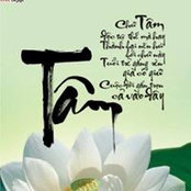 Tony Quang's photo