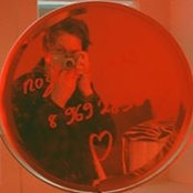 Dmitriy Borisov's photo
