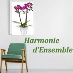 Harmonie d'Ensemble