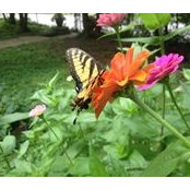 Emily Neff's photo