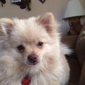 Diane Robinson's photo