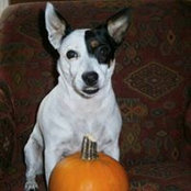 Linsey Mullin's photo