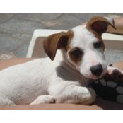 Amaya Monteiro's photo