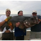 Chad Golding's photo