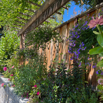 Los Altos seasonal update