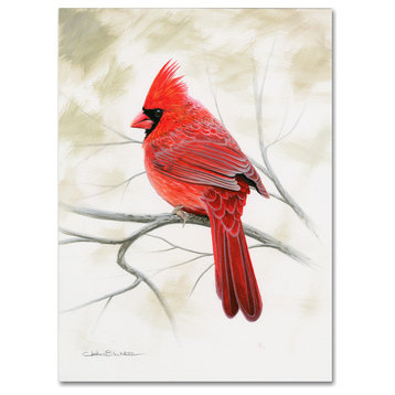 Chuck Black 'Beauty In Red' Canvas Art, 47x35