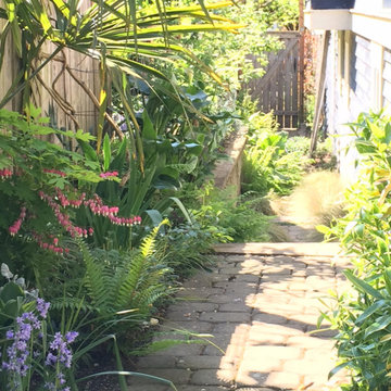 Side Yard in full bloom