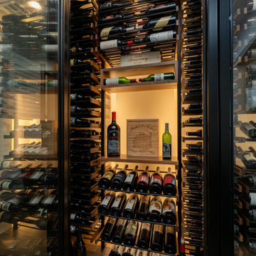 Modern Dual-Pane Glass Wine Cellar Door