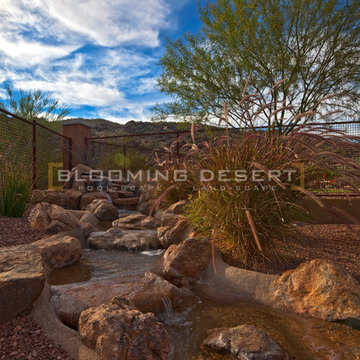 Water Features