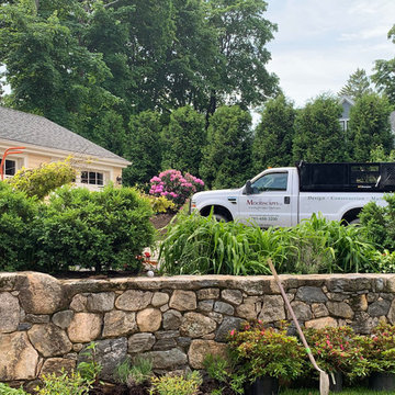Lexington, MA Complete Landscape