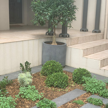 Norwood | Front Garden