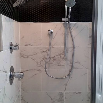 Calcutta Marble Master Bath