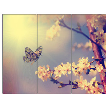 Vintage Butterfly and Cherry Tree, Floral Canvas Art Print, 36x28, 3 Panels
