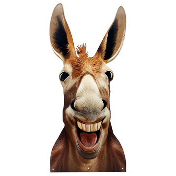 Peeking Smiling Donkey