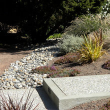 Preserve planting