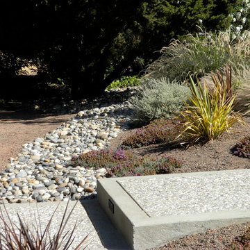 Drought Tolerant Landscape