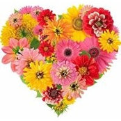 Cathy Grayson-Mahan's photo