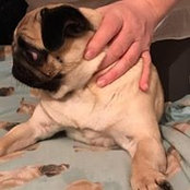 Foto von Shelly Culleton