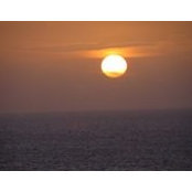 Lisa Cox's photo