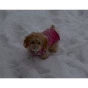 Jennifer Hofmann's photo