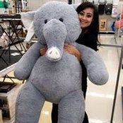 Amanda Sulli's photo