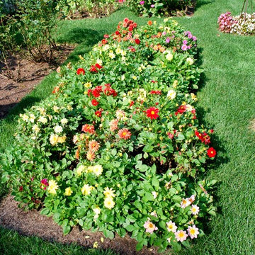 Cutting Garden