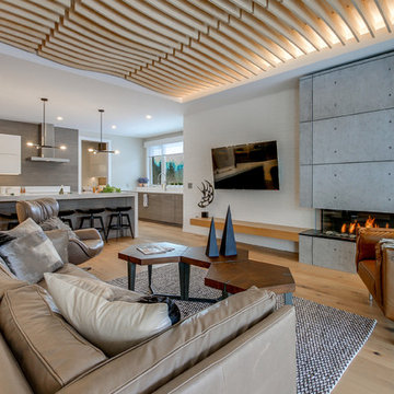 3-Sided Fireplace with Concrete Feature Wall | Fonthill, ON