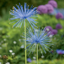 Exterior-Gardening Ideas