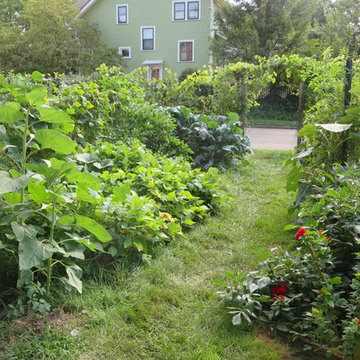 Garden with edible fence and native flowers