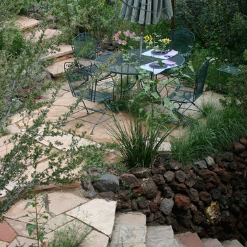 Low Water Native Landscapes