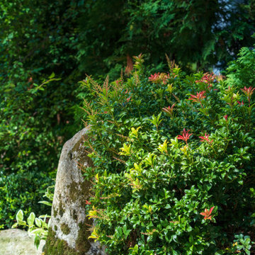Zen Garden