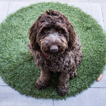 Living Zesty Door Mat