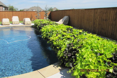 Example of a tuscan pool design in Oklahoma City