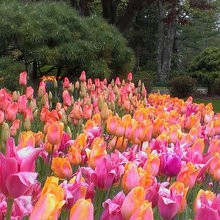 5 Coopers Garden