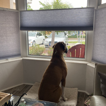 Customer Photos of Installed Pleated Blinds and Honeycomb Shades