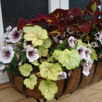 Container Gardens