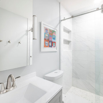 White & Gray Bathroom / Alexandria, VA