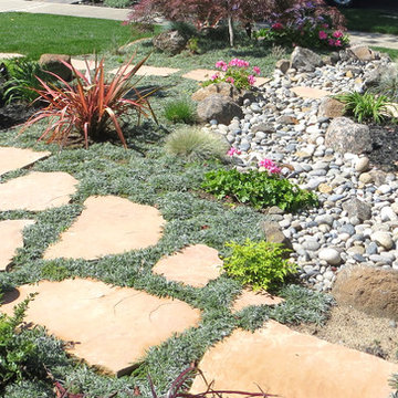 Low Water Gardens