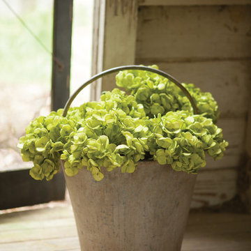 Antique-Style Decorative Iron Bucket with Handle
