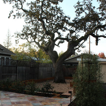 Heritage Oaks