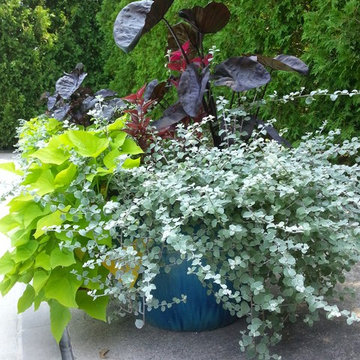 Container Gardens