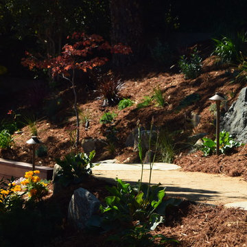 Pool Patio and Garden