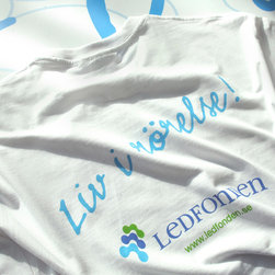 Ledfonden - Products