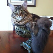 Mandy Coker's photo