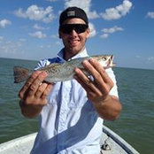 Bill Haralson's photo