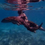 Dylan Mitzel's photo